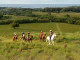 Hawaii Tours Hawaii Tours